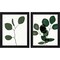 Green Eucalyptus by Linda Woods, 2 Piece Black Framed Art Set